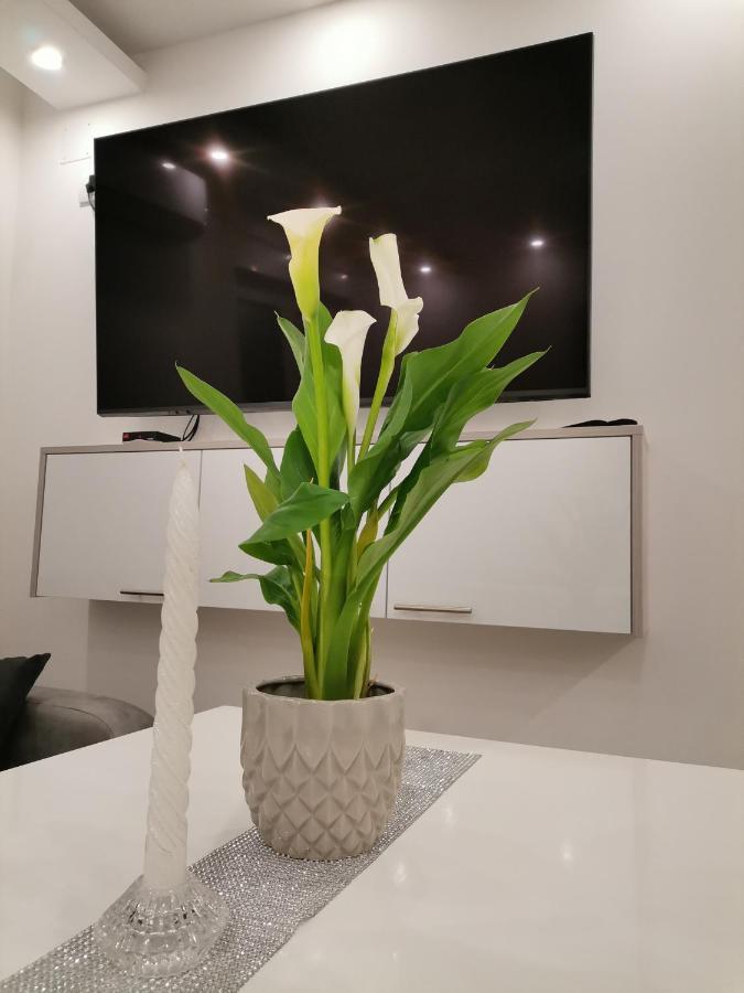 באניה לוקה City Break Apartment מראה חיצוני תמונה